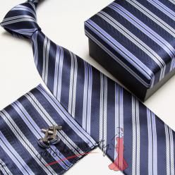 Pánská kravata vzor 5